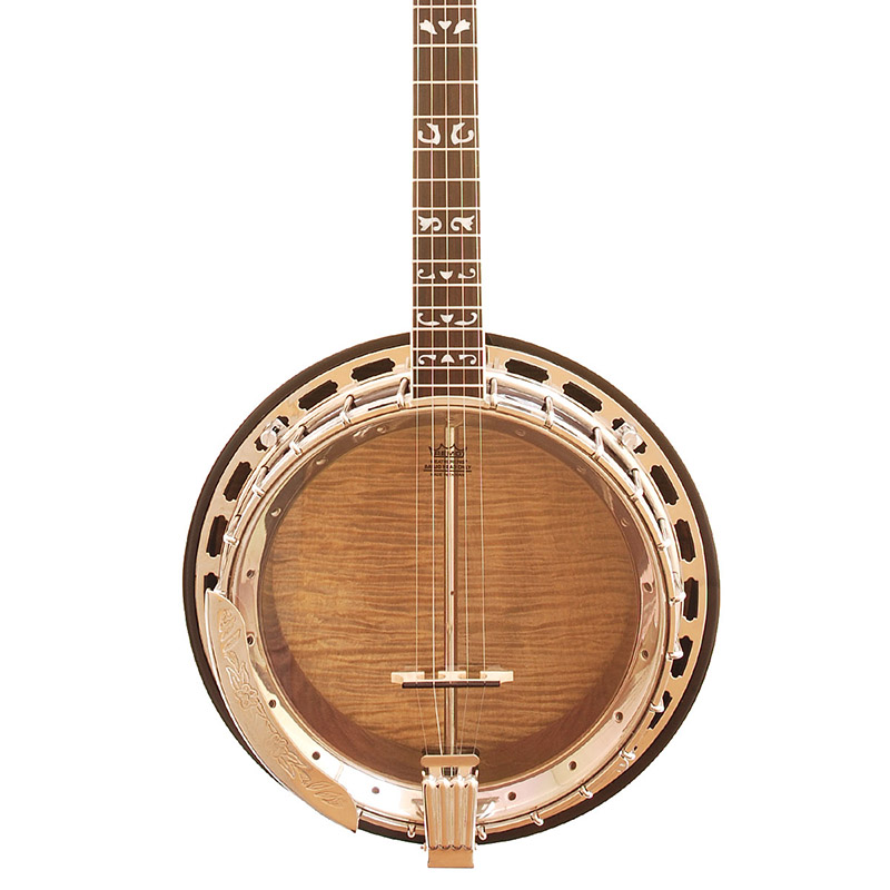 aria banjo identification